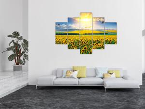Slika - Polje suncokreta (150x105 cm)