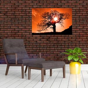 Slika - Stablo hrasta pri zalasku sunca (90x60 cm)
