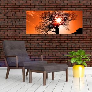 Slika - Stablo hrasta pri zalasku sunca (120x50 cm)