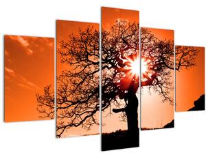 Slika - Stablo hrasta pri zalasku sunca (150x105 cm)