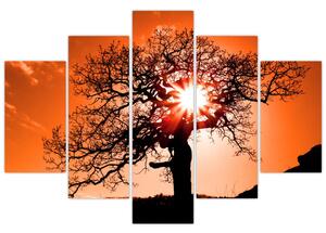 Slika - Stablo hrasta pri zalasku sunca (150x105 cm)