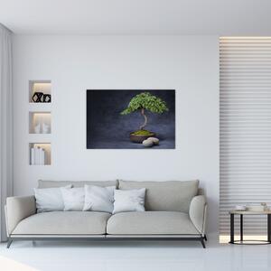 Slika - Bonsai (90x60 cm)