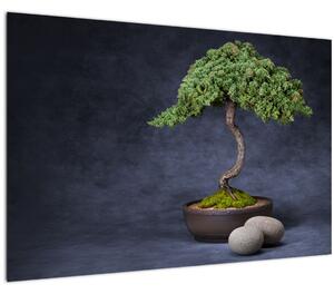 Slika - Bonsai (90x60 cm)