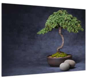 Slika - Bonsai (70x50 cm)