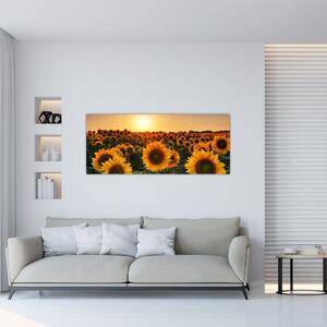 Slika - Suncokret (120x50 cm)