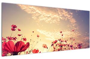 Slika - Livada s cvijećem (120x50 cm)