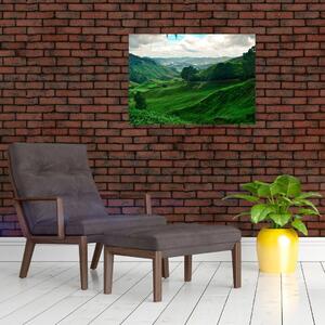 Staklena slika - Plantaže čaja u Maleziji (70x50 cm)