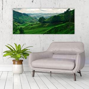 Slika - Plantaže čaja u Maleziji (120x50 cm)