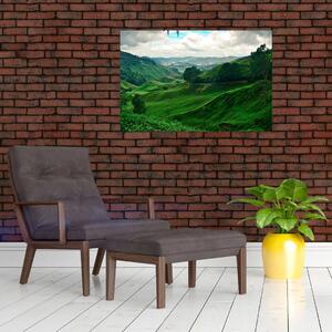 Slika - Plantaže čaja u Maleziji (90x60 cm)