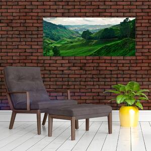 Slika - Plantaže čaja u Maleziji (120x50 cm)