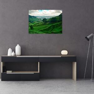 Staklena slika - Plantaže čaja u Maleziji (70x50 cm)