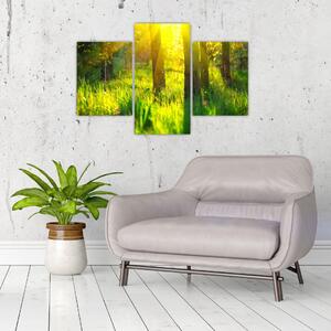 Slika - Proljetno buđenje šume (90x60 cm)