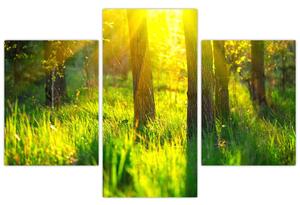Slika - Proljetno buđenje šume (90x60 cm)