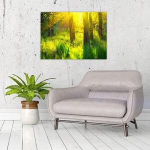 Slika - Proljetno buđenje šume (70x50 cm)