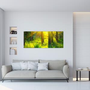 Slika - Proljetno buđenje šume (120x50 cm)