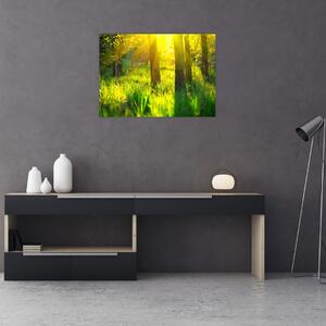 Slika - Proljetno buđenje šume (70x50 cm)