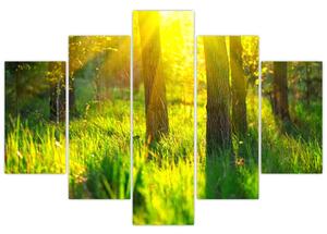 Slika - Proljetno buđenje šume (150x105 cm)
