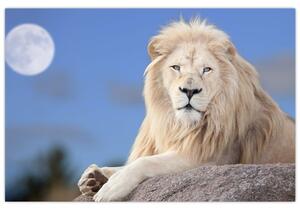 Slika - Bijeli lav (90x60 cm)