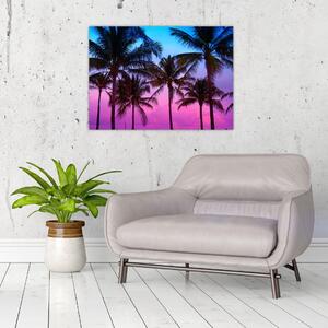 Slika - Palme u Miamiju (70x50 cm)