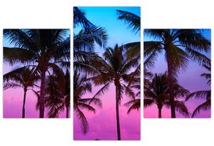 Slika - Palme u Miamiju (90x60 cm)