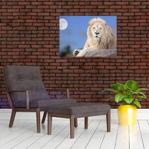 Slika - Bijeli lav (70x50 cm)