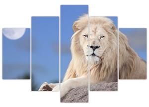 Slika - Bijeli lav (150x105 cm)