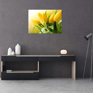 Slika - Žuti tulipani (70x50 cm)