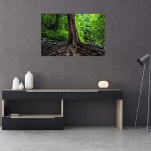 Slika - Staro drvo s korijenjem (90x60 cm)