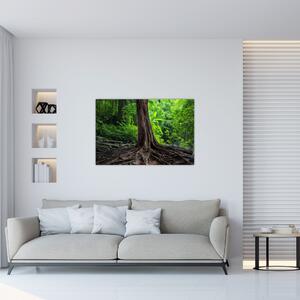 Slika - Staro drvo s korijenjem (90x60 cm)