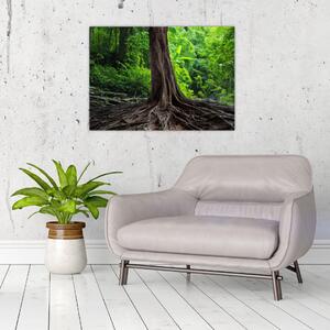 Slika - Staro drvo s korijenjem (70x50 cm)