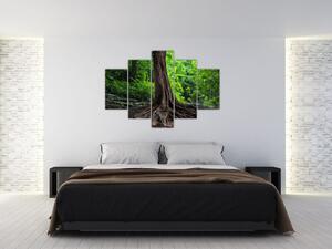 Slika - Staro drvo s korijenjem (150x105 cm)