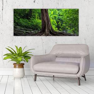 Slika - Staro drvo s korijenjem (120x50 cm)