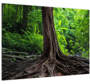 Slika - Staro drvo s korijenjem (70x50 cm)