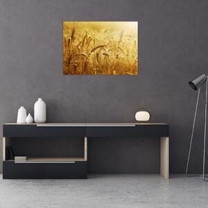 Staklena slika - Klasovi žita (70x50 cm)