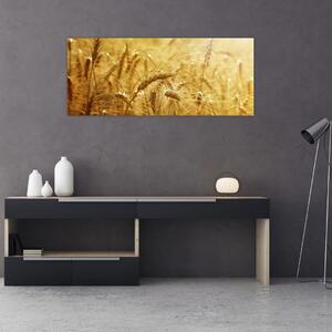 Slika - Klasovi žita (120x50 cm)