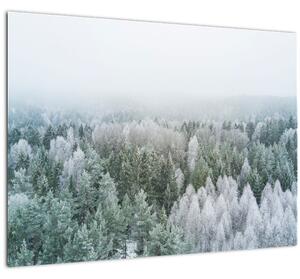 Slika - Snježni šumski vrhovi (70x50 cm)