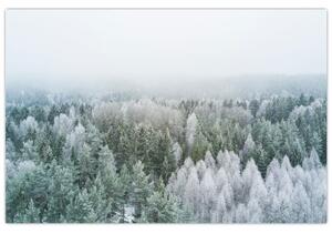 Slika - Snježni šumski vrhovi (90x60 cm)