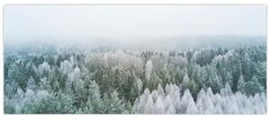 Slika - Snježni šumski vrhovi (120x50 cm)