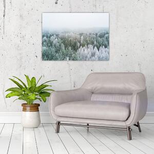 Slika - Snježni šumski vrhovi (70x50 cm)