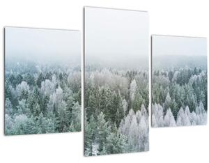 Slika - Snježni šumski vrhovi (90x60 cm)