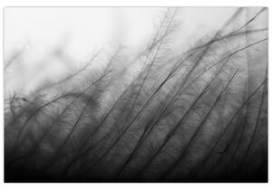 Slika - Trava na vjetru (90x60 cm)