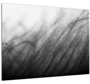 Staklena slika - Trava na vjetru (70x50 cm)