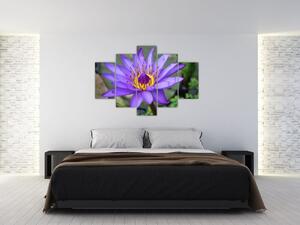 Slika - Ljubičasti cvijet (150x105 cm)