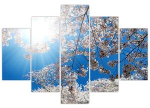 Slika - Cvjetovi trešnje (150x105 cm)