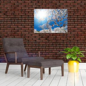 Slika - Cvjetovi trešnje (70x50 cm)