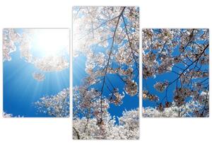Slika - Cvjetovi trešnje (90x60 cm)