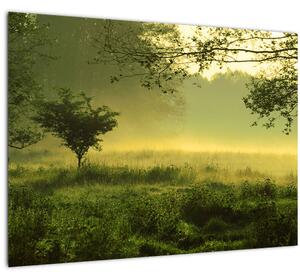 Slika - Buđenje šume (70x50 cm)