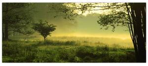 Slika - Buđenje šume (120x50 cm)