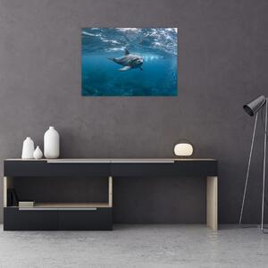 Slika - Dupin ispod površine mora (70x50 cm)
