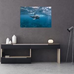 Slika - Dupin ispod površine mora (90x60 cm)